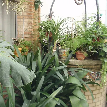 Готель San Andres *