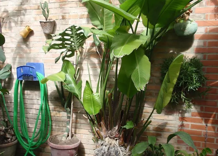 Hotell San Andres Jerez de la Frontera